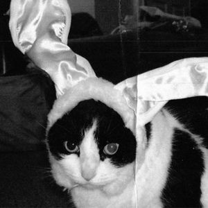 Meet your Posher, Posh